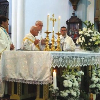 Page-6-Image-16-534x462