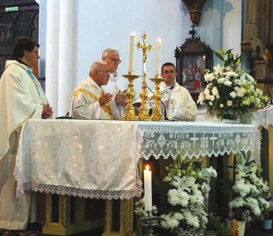 Page-6-Image-16-534x462